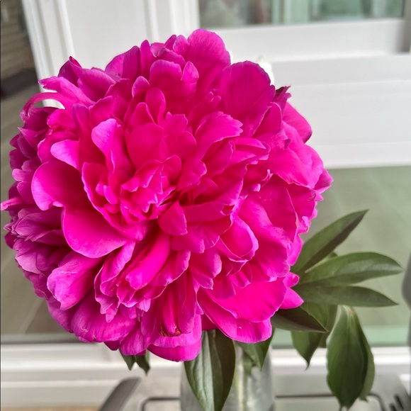 Meet the Posher - Picture 4 of 8